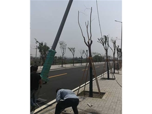 太陽能路燈安裝